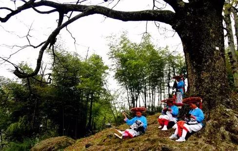 隆回虎形山花瑶古寨，神秘的夫妻树