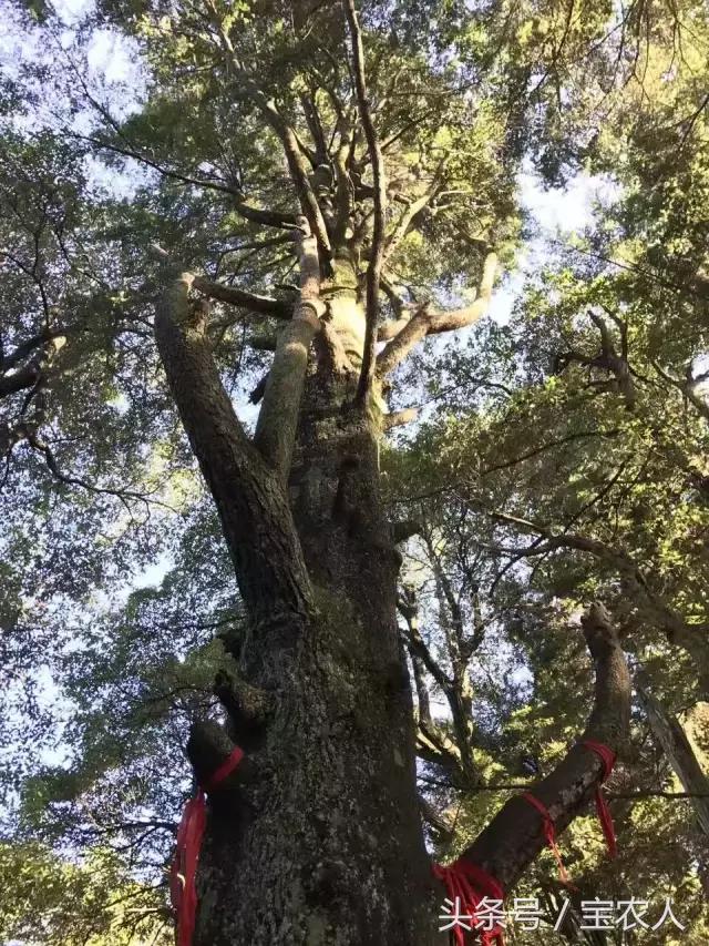 邵阳历史上曾出现过两个古国，很多人都不知道……