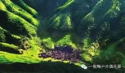 绥宁黄桑那么美，我们去看看！
