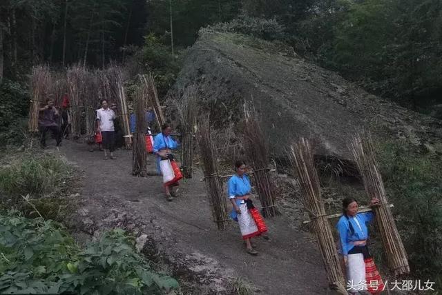 他们拜树为父，他们是你所未见过的古瑶族