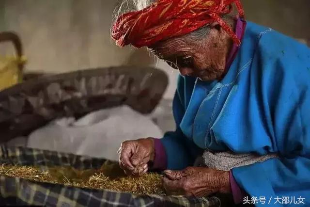 他们拜树为父，他们是你所未见过的古瑶族
