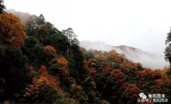 邵阳景色美如画，给自己一场冬日之旅吧~