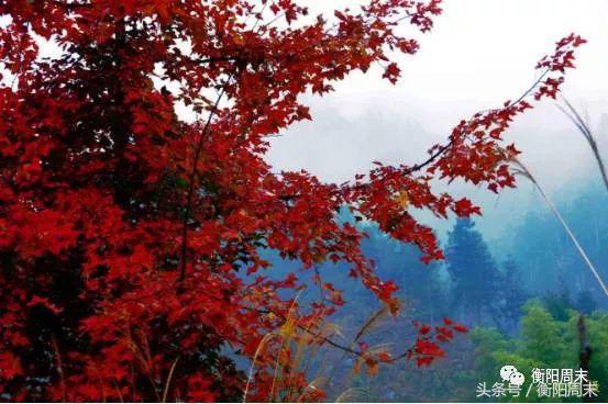 邵阳景色美如画，给自己一场冬日之旅吧~