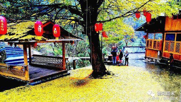 邵阳景色美如画，给自己一场冬日之旅吧~