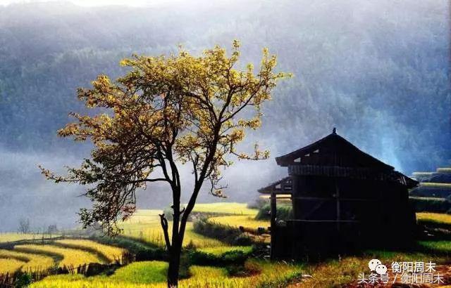 邵阳景色美如画，给自己一场冬日之旅吧~