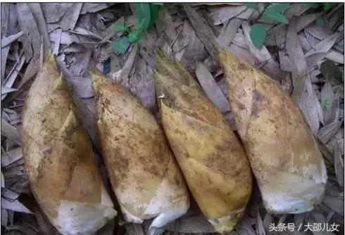 邵阳农村又有一样美味要上市了！很多人都还不知道！