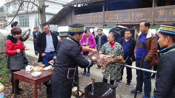 复旦学子返乡带领农民开创致富路