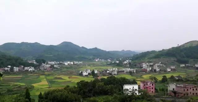 龟田村：游走武状元故里 寻访美丽乡村