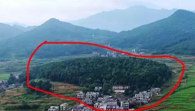 龟田村：游走武状元故里 寻访美丽乡村