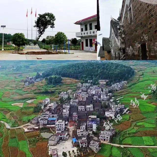 龟田村：游走武状元故里 寻访美丽乡村