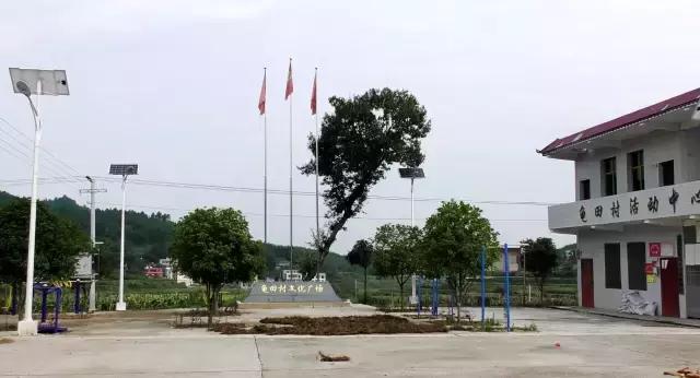 龟田村：游走武状元故里 寻访美丽乡村