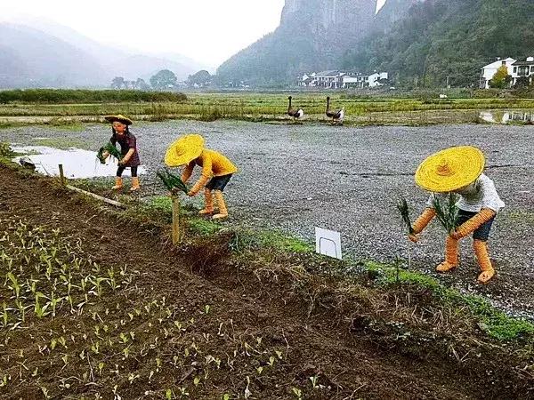 新宁崀山稻草人主题公园免费开放啦！快带上小朋友去耍一耍！