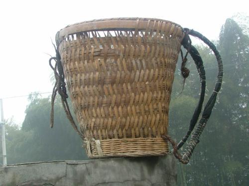 绥宁人在海拔1400多米的山上挖药材那些事