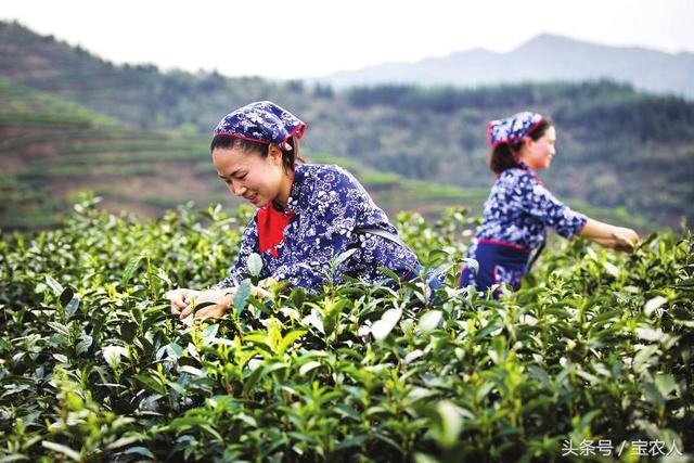 全景轻轨，我们走！邵阳家门口的风景给你好看！