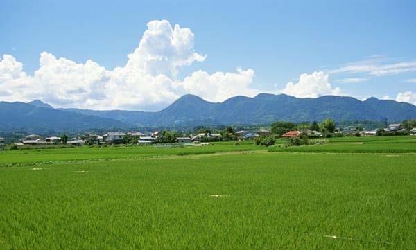 武冈的“美丽乡村旅游村