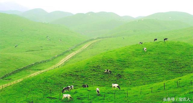 邵阳旅游去哪儿？这里有12座山，每一座都声名远扬！