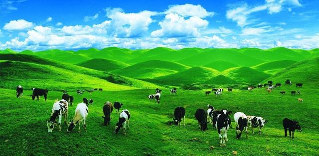 邵阳的这些“湖南第一”，你知道吗？