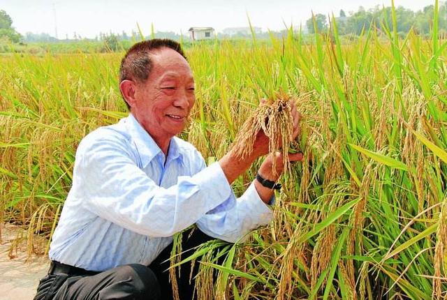 邵阳的这些“湖南第一”，你知道吗？