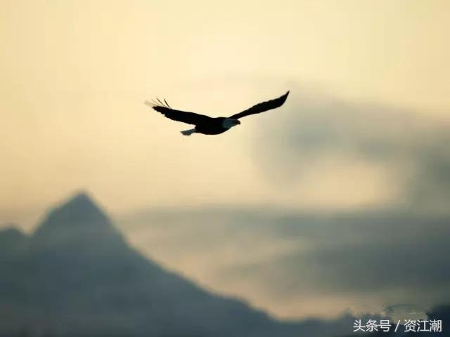 秋日 私语