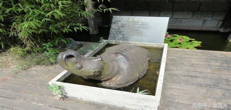 水府游园——半入云