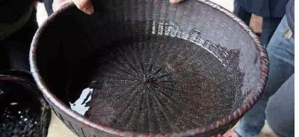 邵阳俗语 