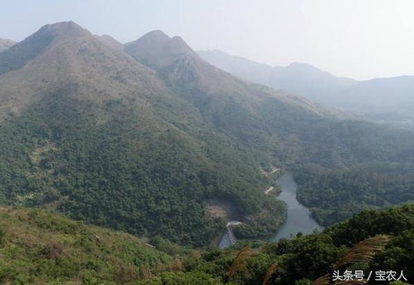 相传九条神龙盘踞此地——九龙岭！