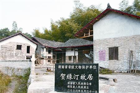 相传九条神龙盘踞此地——九龙岭！