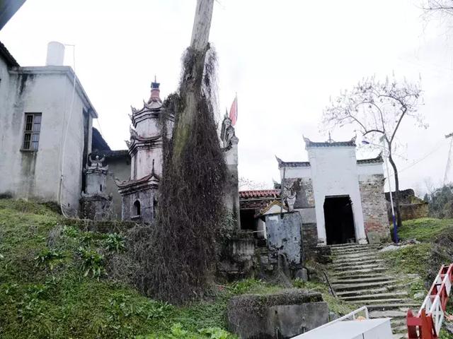 冬游紫阳渡，县级文物保护单位