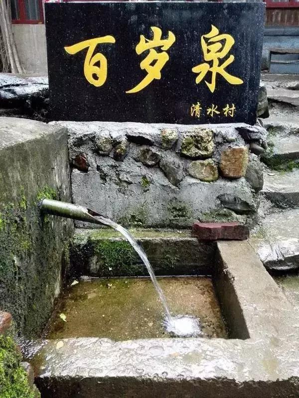 新邵坪上镇清水村入选2017年度“全国生态文化村”名单，谁敢不服