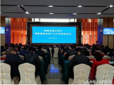 中国茶油之都：邵阳市邵阳县茶油香满全国