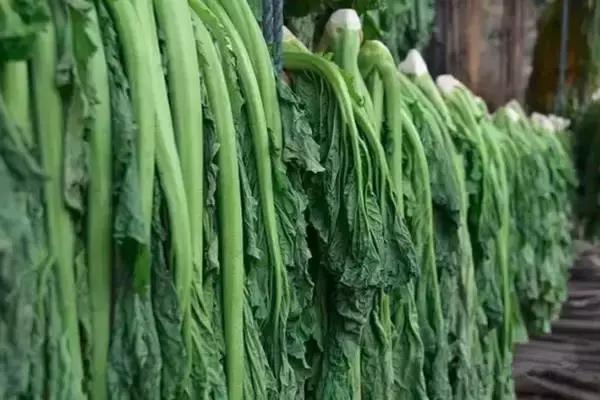 隆回人的农家自制菜，看到第3个就开始流口水了