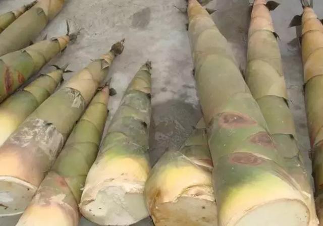 隆回人的农家自制菜，看到第3个就开始流口水了