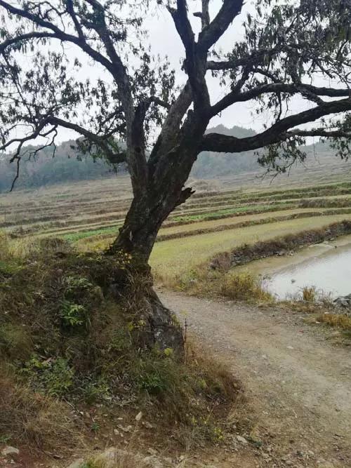 魅力石屋冲 中古要道青龙桥 供有三个菩萨