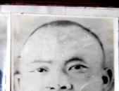 纪念抗日战争牺牲的新宁籍国民革命军团长陈纯一
