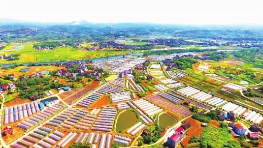 筑梦“东大门” 铸就新辉煌——邵阳市双清区创新引领开放崛起纪实