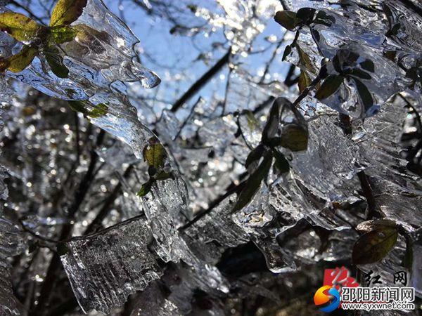 新邵岳坪峰国家森林公园：雾凇景观美如画