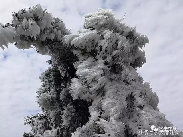 冬天来邵阳看雾凇