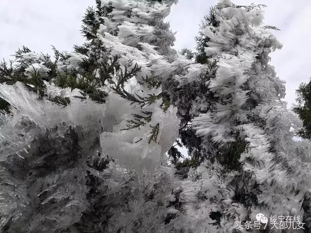 冬天来邵阳看雾凇