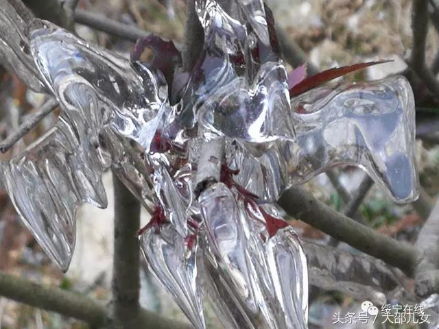 冬天来邵阳看雾凇