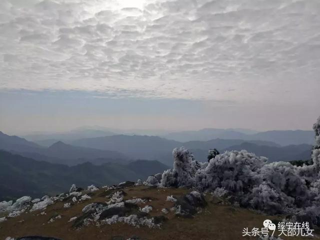 冬天来邵阳看雾凇
