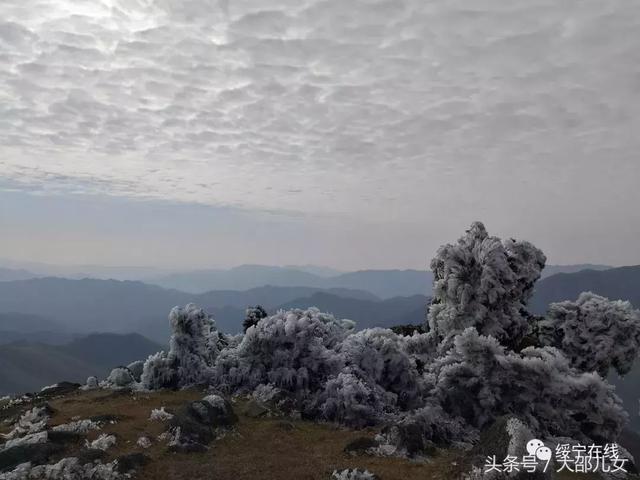 冬天来邵阳看雾凇