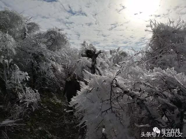 冬天来邵阳看雾凇