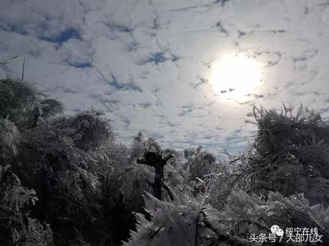 冬天来邵阳看雾凇