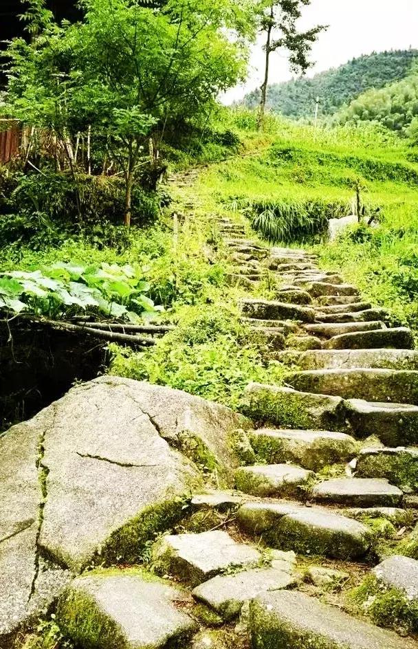 大美隆回土岭界，叫我怎能不爱她