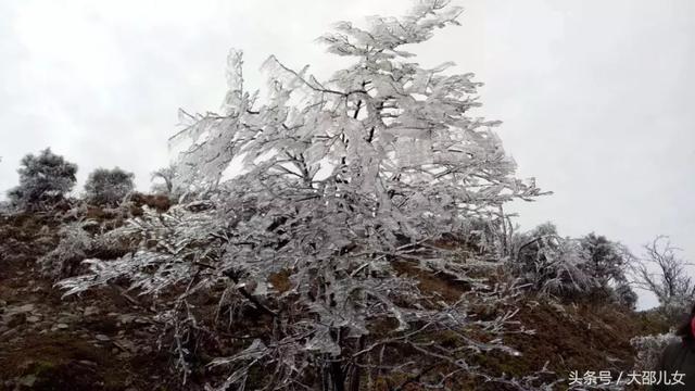 邵阳这个地方已经银装素裹！雾凇雪国宛如童话！