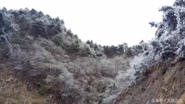 邵阳这个地方已经银装素裹！雾凇雪国宛如童话！