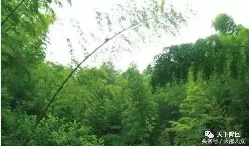 这个在隆回挖“泥巴”卖的公司，准备上市啦！