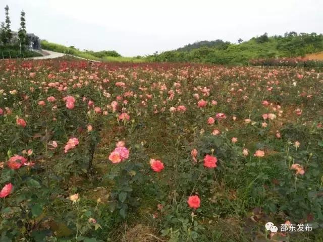 邵东：熟悉的地方好风景，有山有水有故事