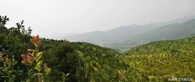 邵阳县各乡镇地名由来，每个地名都有一段故事！