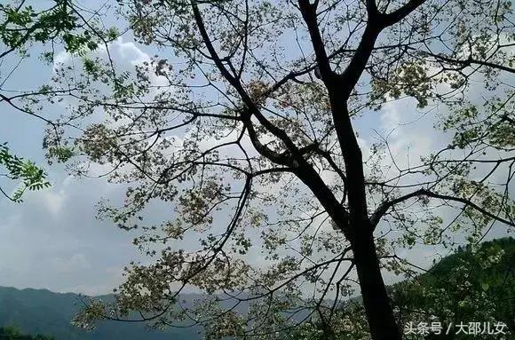 邵阳县各乡镇地名由来，每个地名都有一段故事！